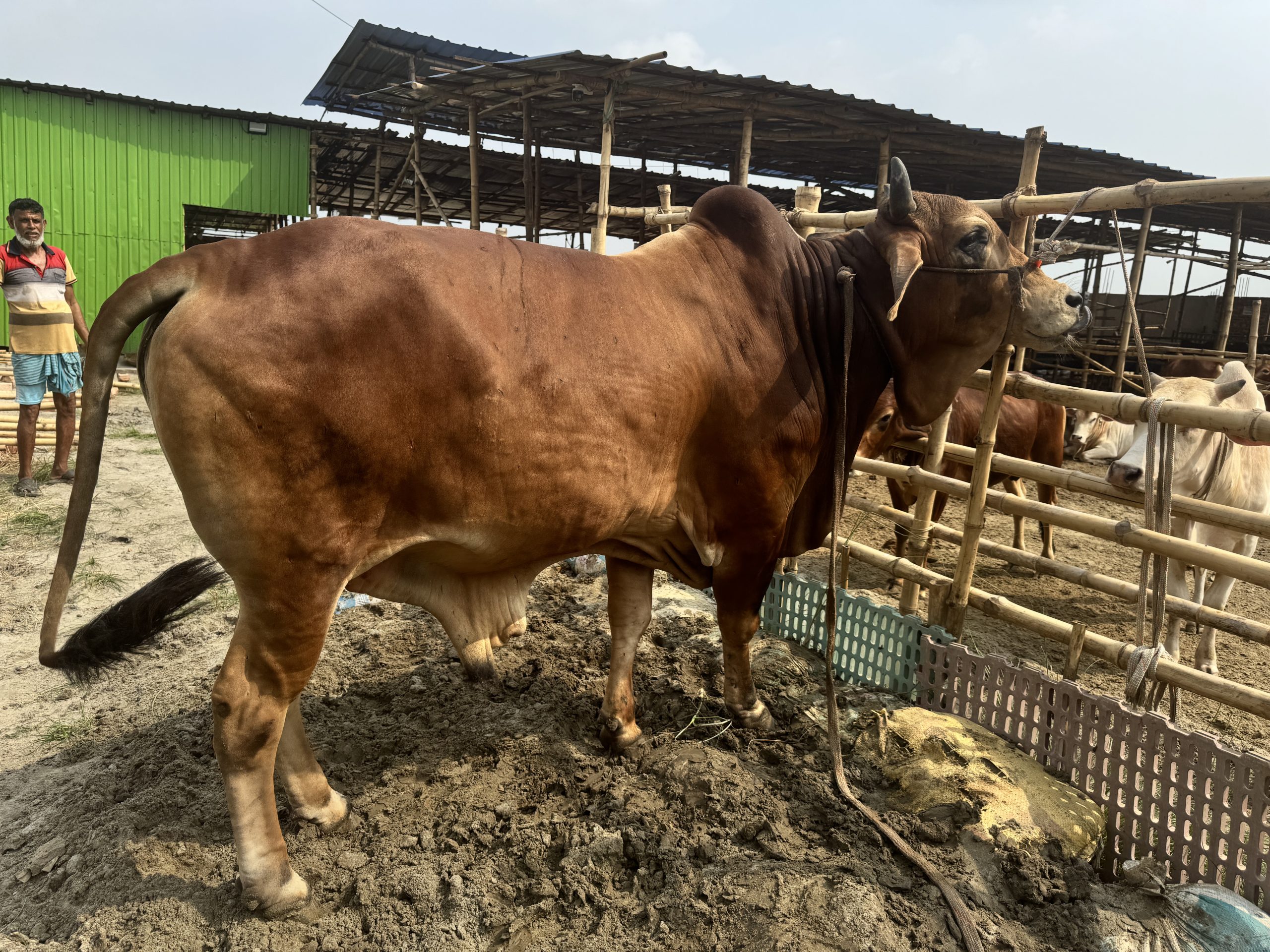 (SOLD)TAG50-502KG - Image 5