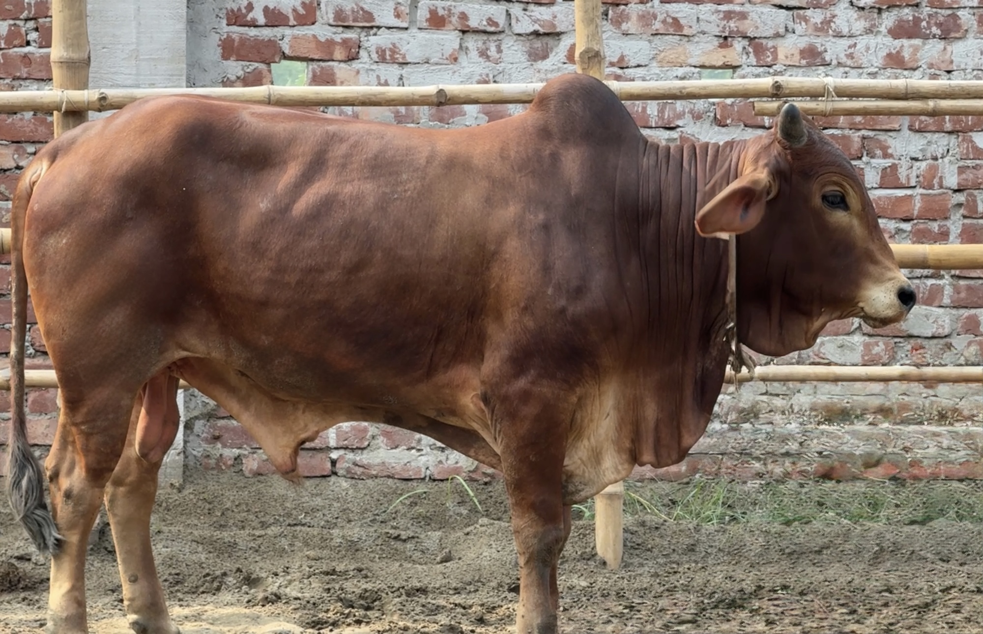 (SOLD)TAG91/101-374 KG